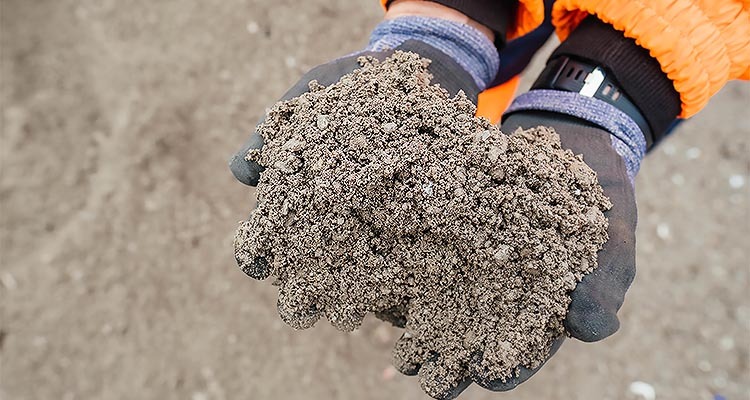 2 handfulls of Ash from incinerator